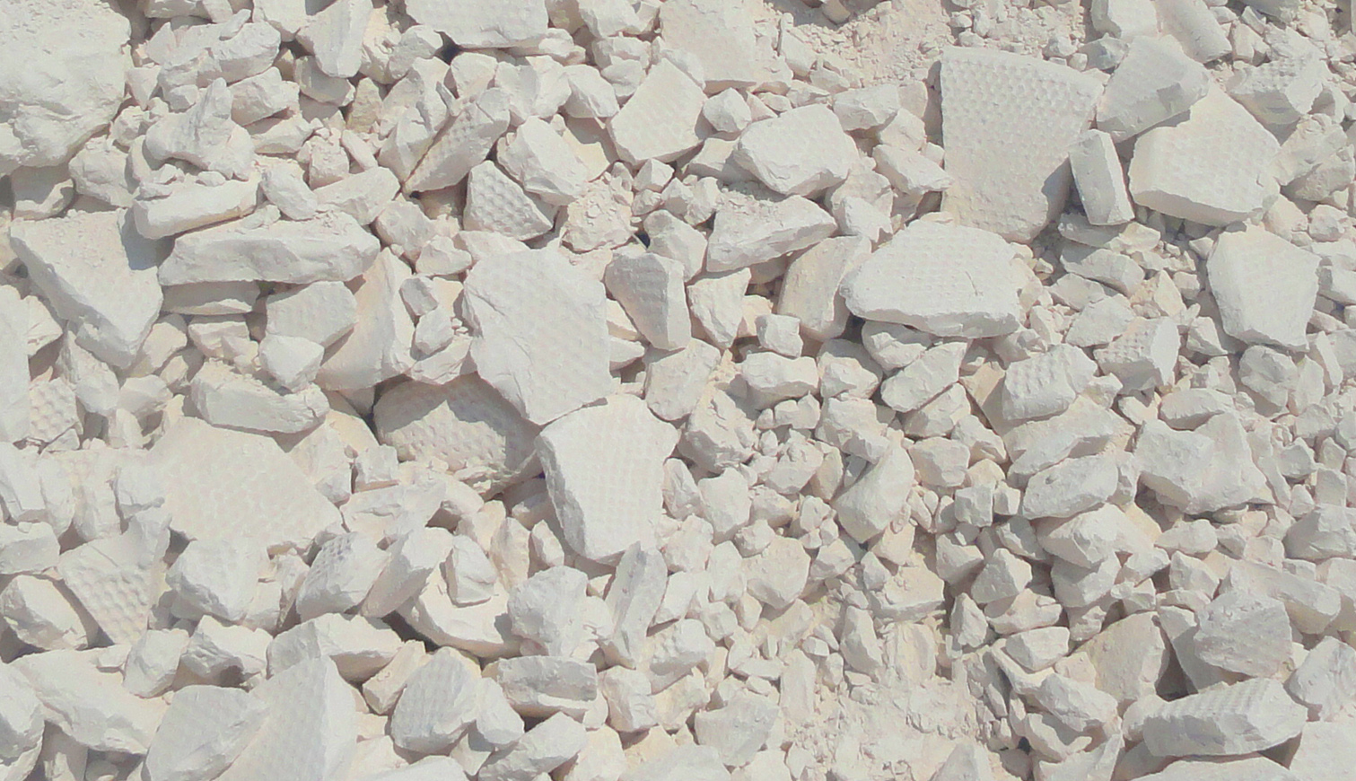 banner2